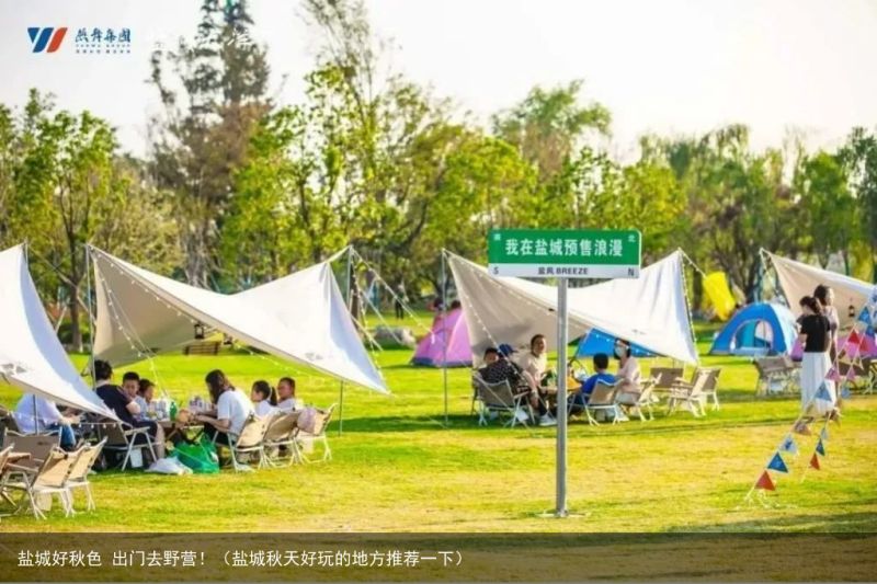 盐城好秋色 出门去野营！（盐城秋天好玩的地方推荐一下）