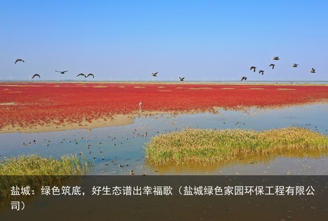 盐城：绿色筑底，好生态谱出幸福歌（盐城绿色家园环保工程有限公司）