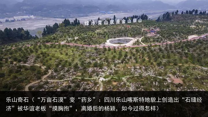 乐山奇石（“万亩石漠”变“药乡”：四川乐山喀斯特地貌上创造出“石缝经济”被华谊老板“摸胸抱”，离婚后的杨颖，如今过得怎样）