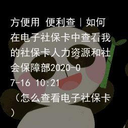 方便用 便利查｜如何在电子社保卡中查看我的社保卡人力资源和社会保障部2020-07-16 10:21（怎么查看电子社保卡）