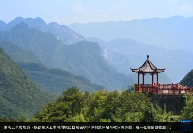 重庆五里坡旅游（探访重庆五里坡国家级自然保护区倪妮黑色吊带裙写真美照！每一张都值得收藏！）