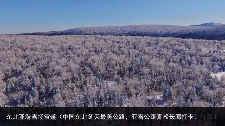 东北亚滑雪场雪道（中国东北冬天最美公路，亚雪公路雾凇长廊打卡）