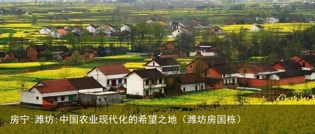 房宁:潍坊:中国农业现代化的希望之地（潍坊房国栋）