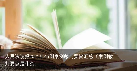 人民法院报2021年45例案例裁判要旨汇总（案例裁判要点是什么）