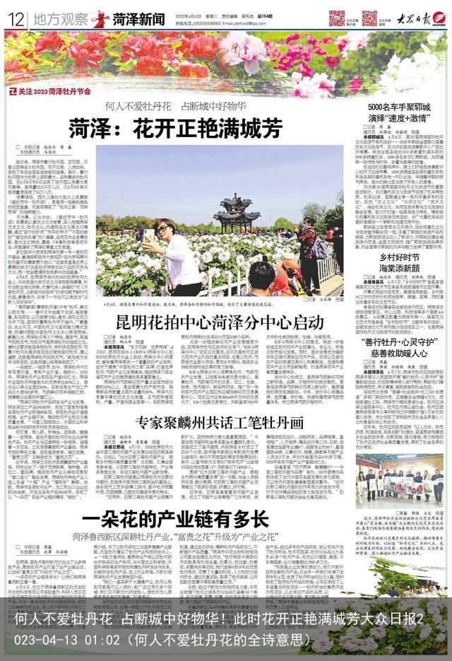 何人不爱牡丹花 占断城中好物华！此时花开正艳满城芳大众日报2023-04-13 