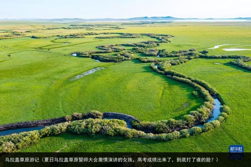 乌拉盖草原游记（夏日乌拉盖草原誓师大会激情演讲的女孩，高考成绩出来了，到底打了谁的脸？）