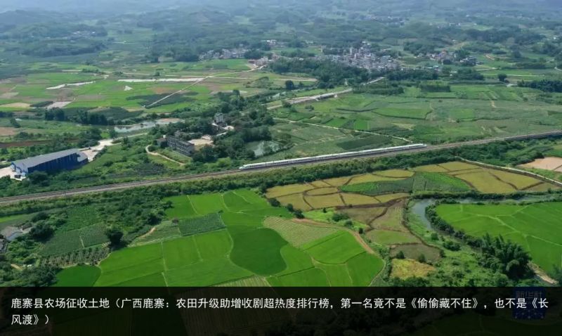 鹿寨县农场征收土地（广西鹿寨：农田升级助增收剧超热度排行榜，第一名竟不是《偷偷藏不住》，也不是《长风渡》）