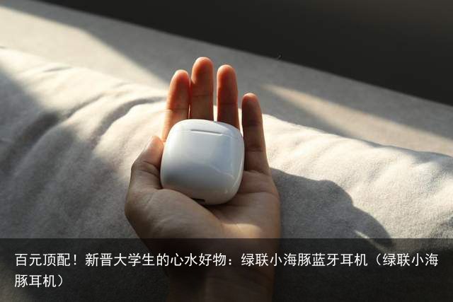 百元顶配！新晋大学生的心水好物：绿联小海豚蓝牙耳机（绿联小海豚耳机）