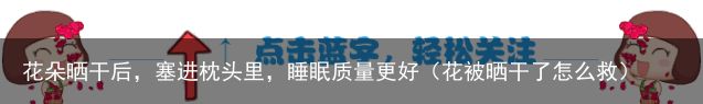 花朵晒干后，塞进枕头里，睡眠质量更好（花被晒干了怎么救）
