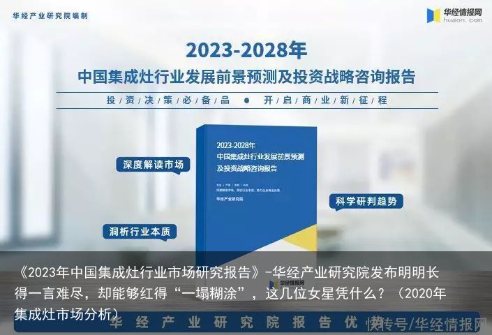 《2023年中国集成灶行业市场研究报告》-华经产业研究院发布明明长得一言难尽，却