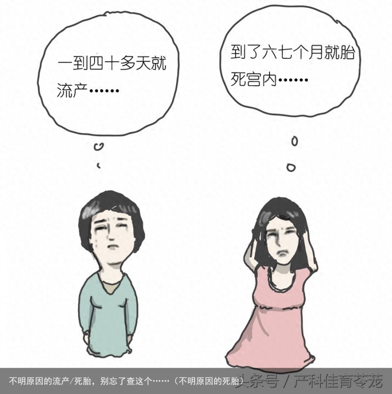 不明原因的流产/死胎，别忘了查这个……（不明原因的死胎）