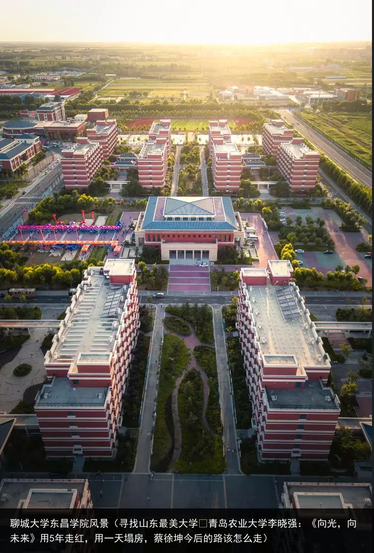 聊城大学东昌学院风景（寻找山东最美大学￨青岛农业大学李晓强：《向光，向未来》用5年走红，用一天塌房，蔡徐坤今后的路该怎么走）