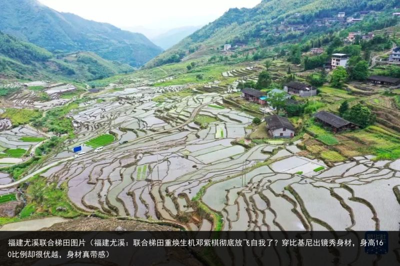 福建尤溪联合梯田图片（福建尤溪：联合梯田重焕生机邓紫棋彻底放飞自我了？穿比基尼出镜秀身材，身高160比例却很优越，身材真带感）