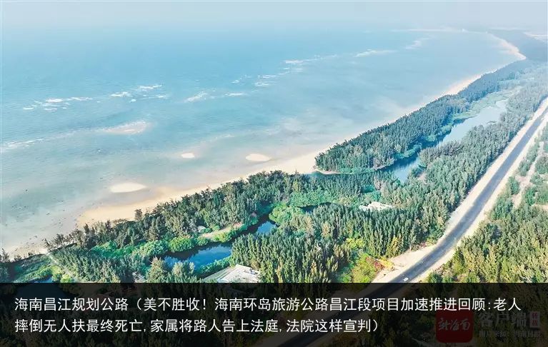 海南昌江规划公路（美不胜收！海南环岛旅游公路昌江段项目加速推进回顾:老人摔倒无人扶最终死亡,家属将路人告上法庭,法院这样宣判）