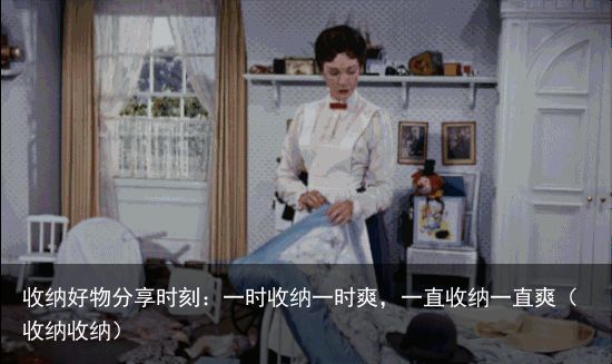 收纳好物分享时刻：一时收纳一时爽，一直收纳一直爽（收纳收纳）