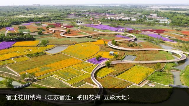 宿迁花田纳海（江苏宿迁：衲田花海 五彩大地）