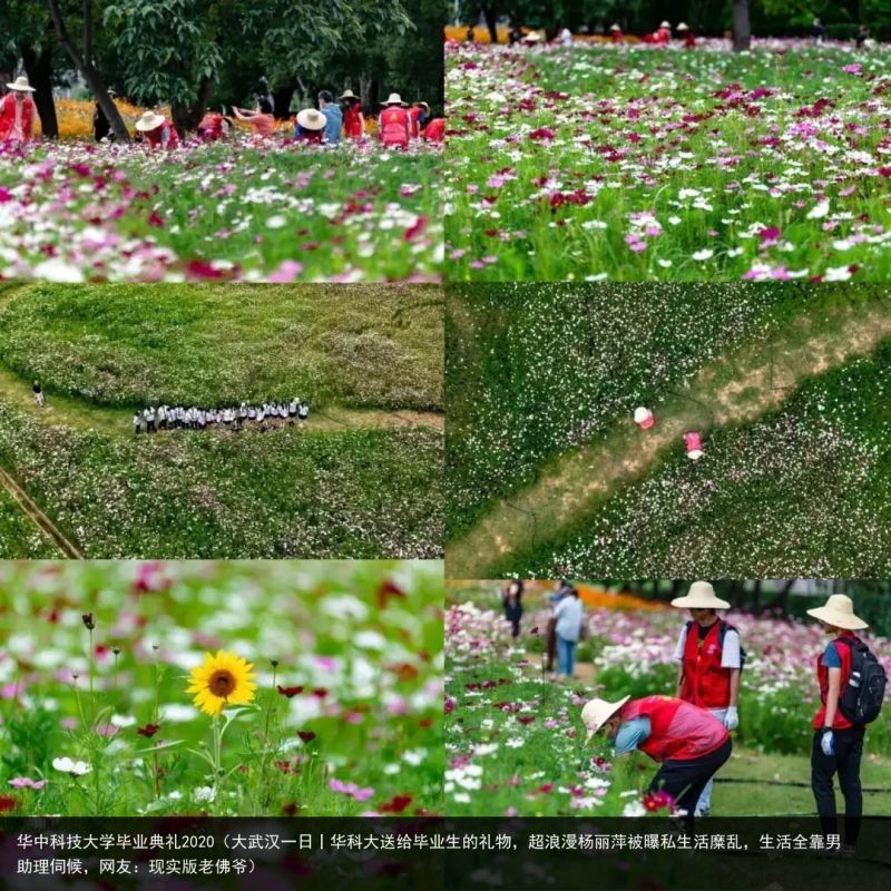 华中科技大学毕业典礼2020（大武汉一日丨华科大送给毕业生的礼物，超浪漫杨丽萍被曝私生活糜乱，生活全靠男助理伺候，网友：现实版老佛爷）