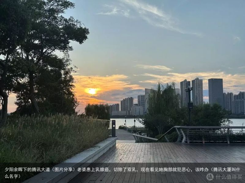 夕阳余晖下的腾讯大道（图片分享）老婆患上乳腺癌，切除了双乳，现在看见她胸部就犯恶
