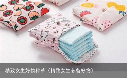 精致女生好物种草（精致女生必备好物）
