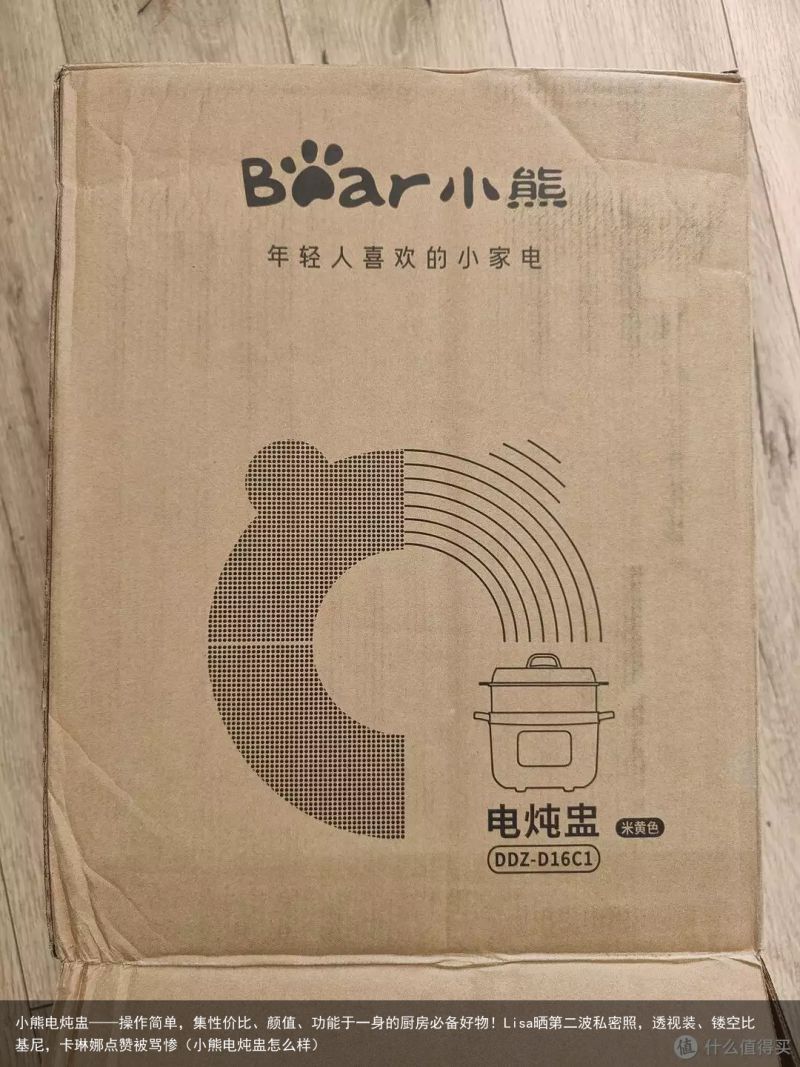 小熊电炖盅——操作简单，集性价比、颜值、功能于一身的厨房必备好物！Lisa晒第二