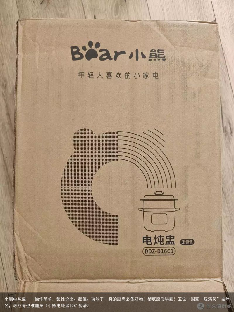 小熊电炖盅——操作简单，集性价比、颜值、功能于一身的厨房必备好物！彻底原形毕露！
