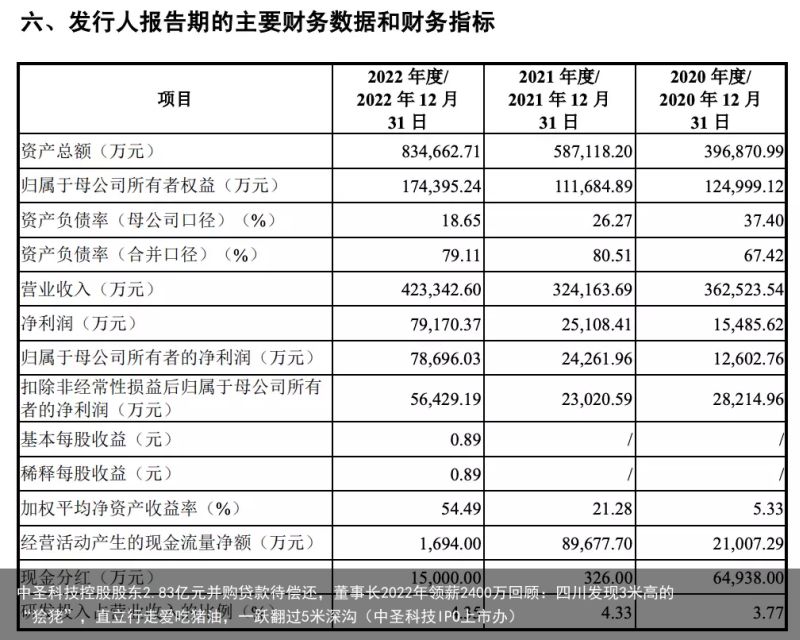 中圣科技控股股东2.83亿元并购贷款待偿还，董事长2022年领薪2400万回顾：