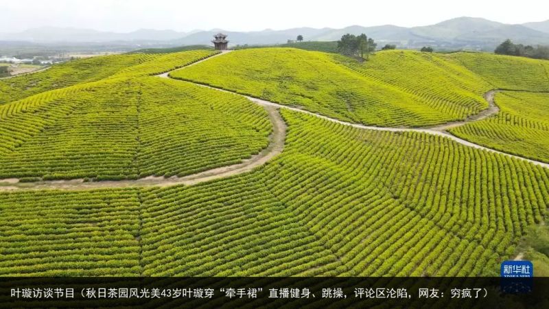 叶璇访谈节目（秋日茶园风光美43岁叶璇穿“牵手裙”直播健身、跳操，评论区沦陷，网友：穷疯了）