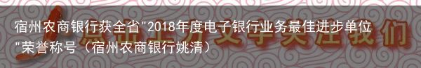 宿州农商银行获全省"2018年度电子银行业务最佳进步单位"荣誉称号（宿州农商银行姚清）
