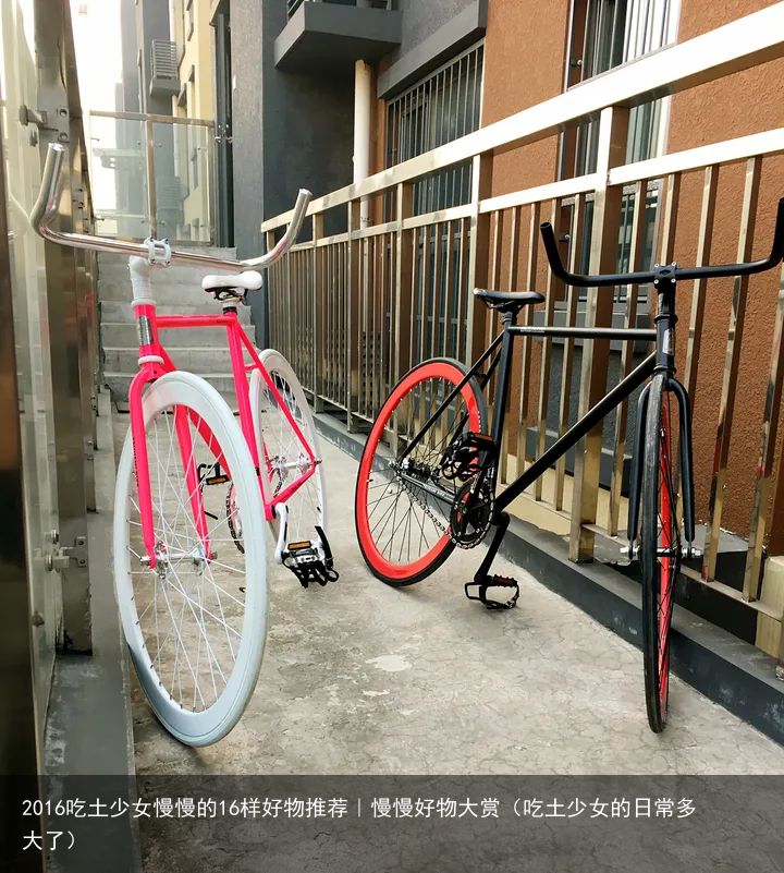 2016吃土少女慢慢的16样好物推荐｜慢慢好物大赏（吃土少女的日常多大了）