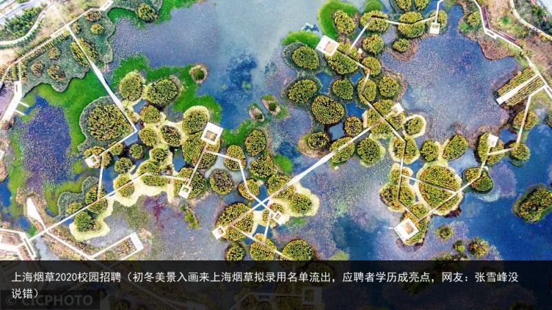 上海烟草2020校园招聘（初冬美景入画来上海烟草拟录用名单流出，应聘者学历成亮点，网友：张雪峰没说错）