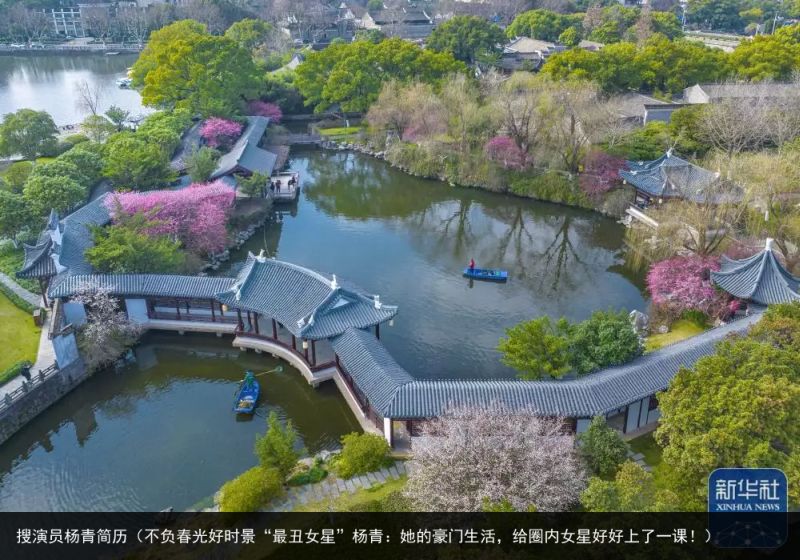 搜演员杨青简历（不负春光好时景“最丑女星”杨青：她的豪门生活，给圈内女星好好上了一课！）