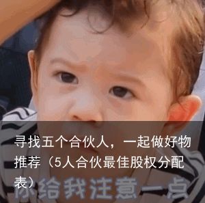 寻找五个合伙人，一起做好物推荐（5人合伙最佳股权分配表）