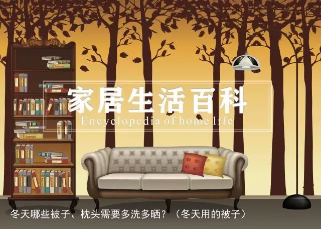 冬天哪些被子、枕头需要多洗多晒？（冬天用的被子）