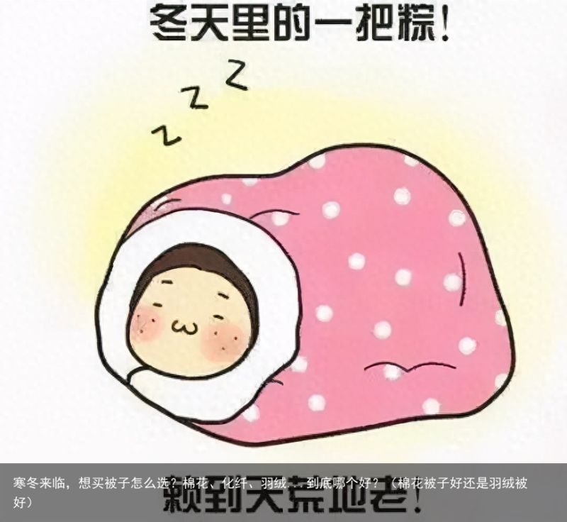 寒冬来临，想买被子怎么选？棉花、化纤、羽绒...到底哪个好？（棉花被子好还是羽绒