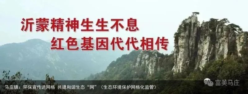 马庄镇：环保宣传进网格 共建和谐生态“网”（生态环境保护网格化监管）