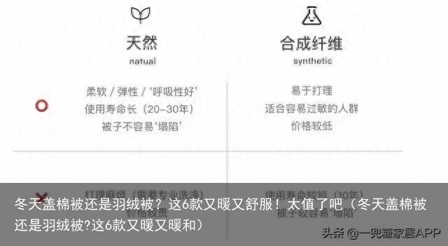 冬天盖棉被还是羽绒被？这6款又暖又舒服！太值了吧（冬天盖棉被还是羽绒被?这6款又