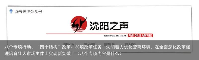 八个专项行动、“四个结构”改革、30项改革任务！沈阳着力优化营商环境，在全面深化改革促进培育壮大市场主体上实现新突破！（八个专项内容是什么）