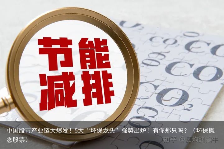 中国股市产业链大爆发！5大“环保龙头”强势出炉！有你那只吗？（环保概念股票）