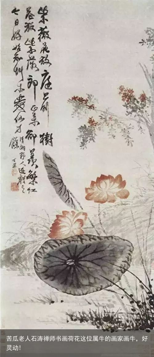 苦瓜老人石涛禅师书画荷花这位属牛的画家画牛，好灵动!