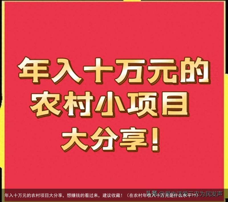 年入十万元的农村项目大分享，想赚钱的看过来，建议收藏！（在农村年收入十万元是什么