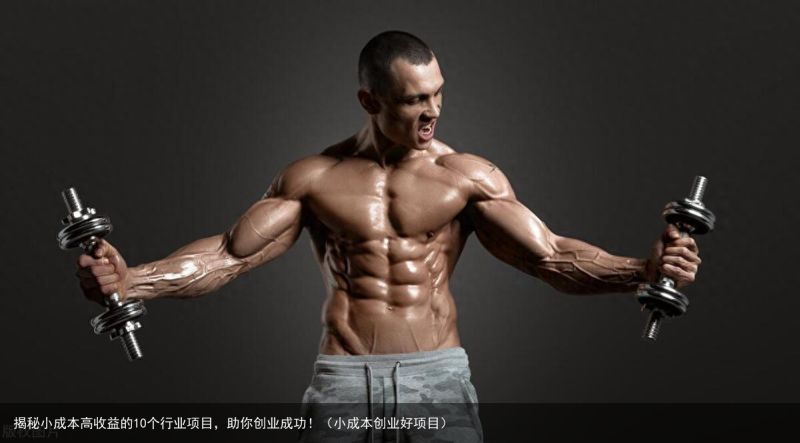 揭秘小成本高收益的10个行业项目，助你创业成功！（小成本创业好项目）