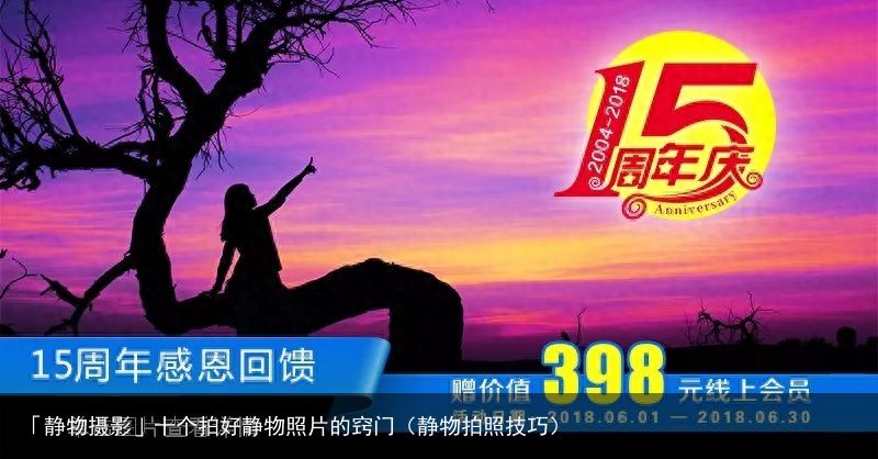 「静物摄影」十个拍好静物照片的窍门（静物拍照技巧）
