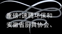 重磅!速腾环保和安徽省厨具协会、合肥市厨具协会达成全面战略合作伙伴关系！（速腾质