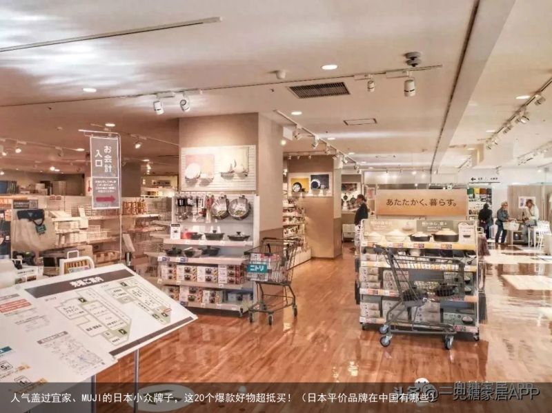 人气盖过宜家、MUJI的日本小众牌子，这20个爆款好物超抵买！（日本平价品牌在中