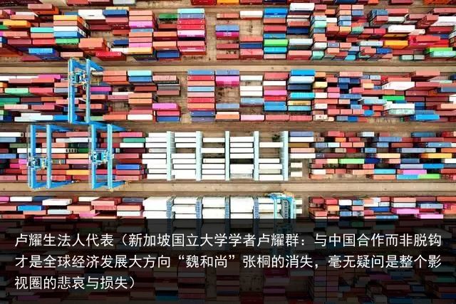 卢耀生法人代表（新加坡国立大学学者卢耀群：与中国合作而非脱钩才是全球经济发展大方向“魏和尚”张桐的消失，毫无疑问是整个影视圈的悲哀与损失）