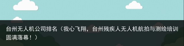 台州无人机公司排名（我心飞翔，台州残疾人无人机航拍与测绘培训圆满落幕！）