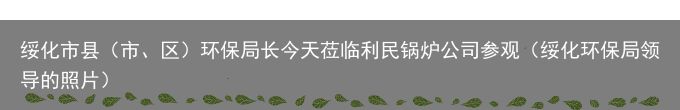 绥化市县（市、区）环保局长今天莅临利民锅炉公司参观（绥化环保局领导的照片）