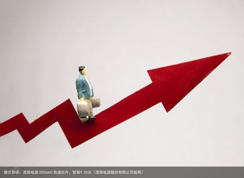 股价异动：茂硕电源(002660)急速拉升，暂报9.05元（茂硕电源股份有限公司