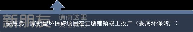 娄底第一家新型环保砖项目在三塘铺镇竣工投产（娄底环保砖厂）