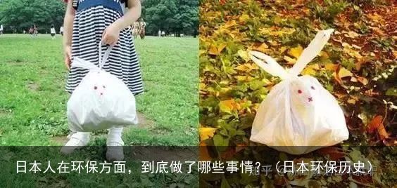 日本人在环保方面，到底做了哪些事情？（日本环保历史）